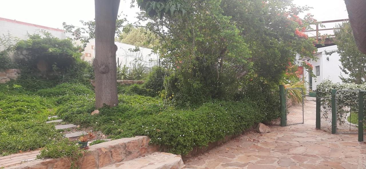 דירות קלאנוויליאם Rosenhof Manor House - Since 1847 מראה חיצוני תמונה