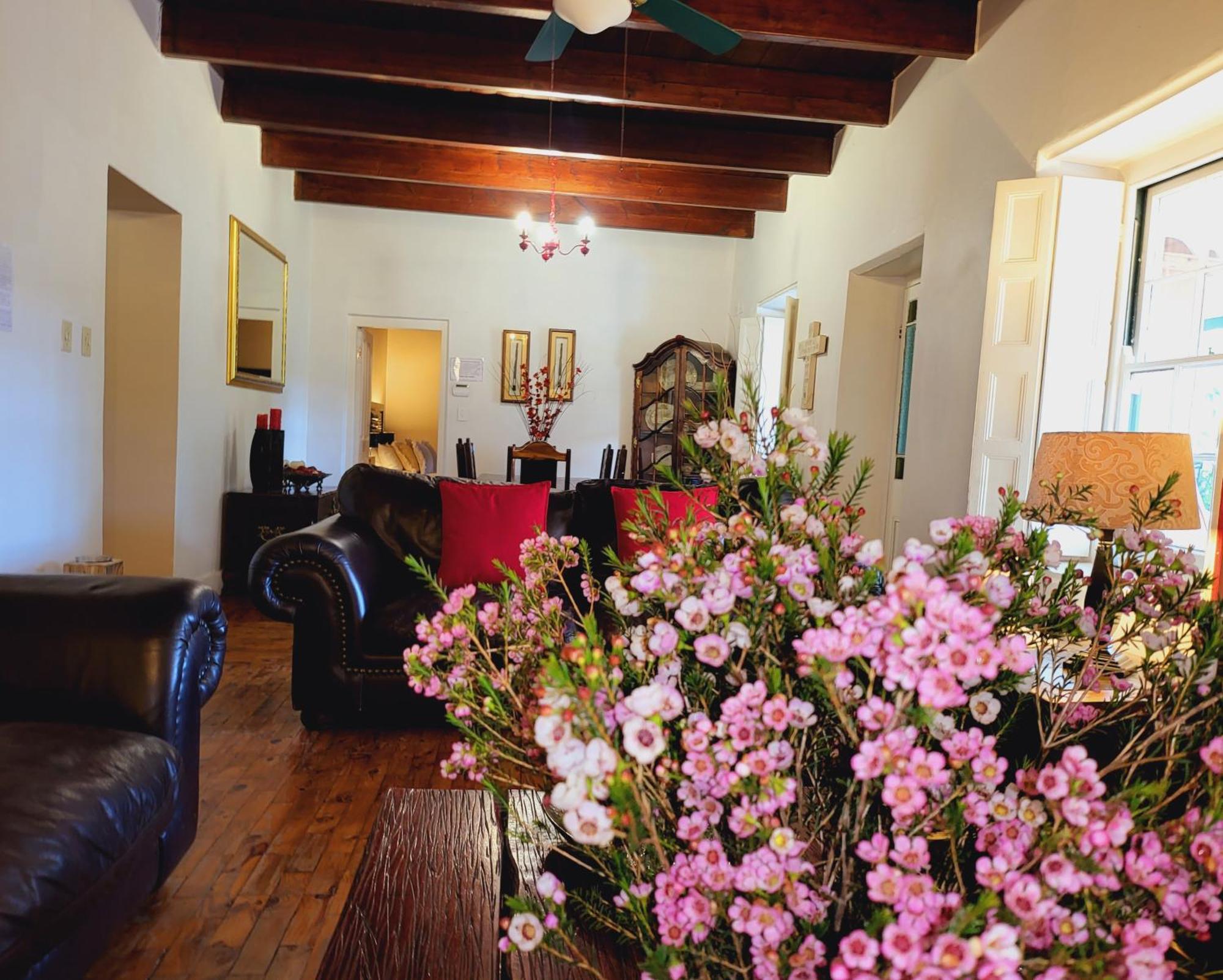דירות קלאנוויליאם Rosenhof Manor House - Since 1847 חדר תמונה