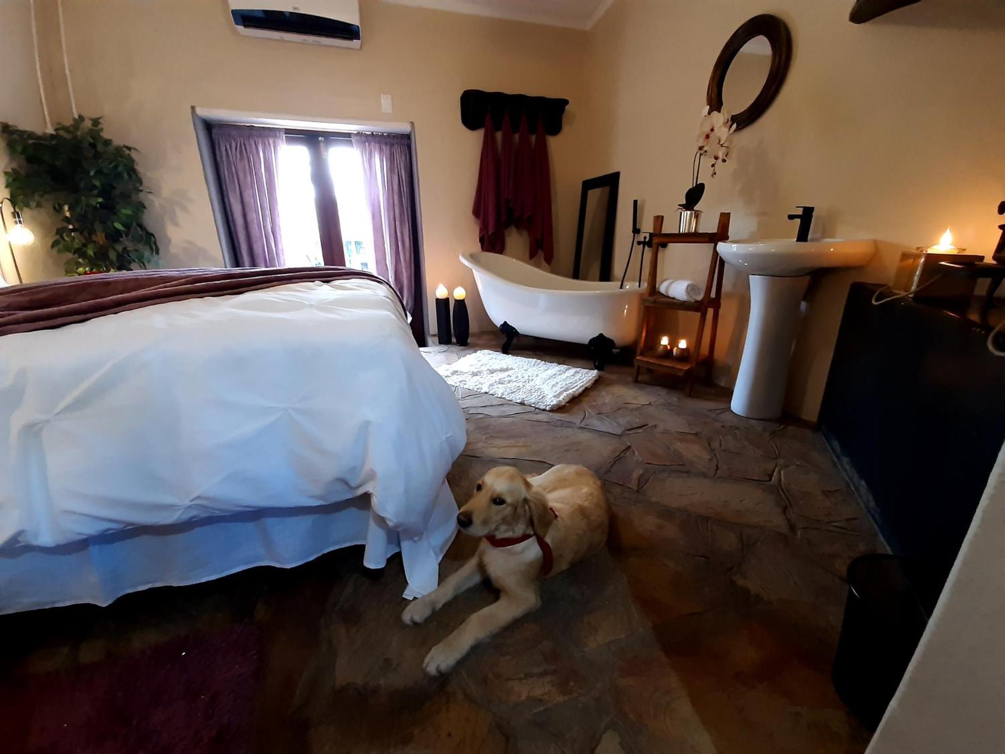 דירות קלאנוויליאם Rosenhof Manor House - Since 1847 מראה חיצוני תמונה